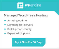 WPEngine Review